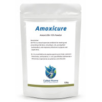 AMOXICURE 100G BY CUMED PHARMA