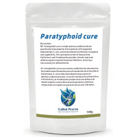 PARATYPHOID CURE 100G BY CUMED PHARMA